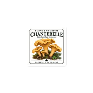 Chanterelle Magnet