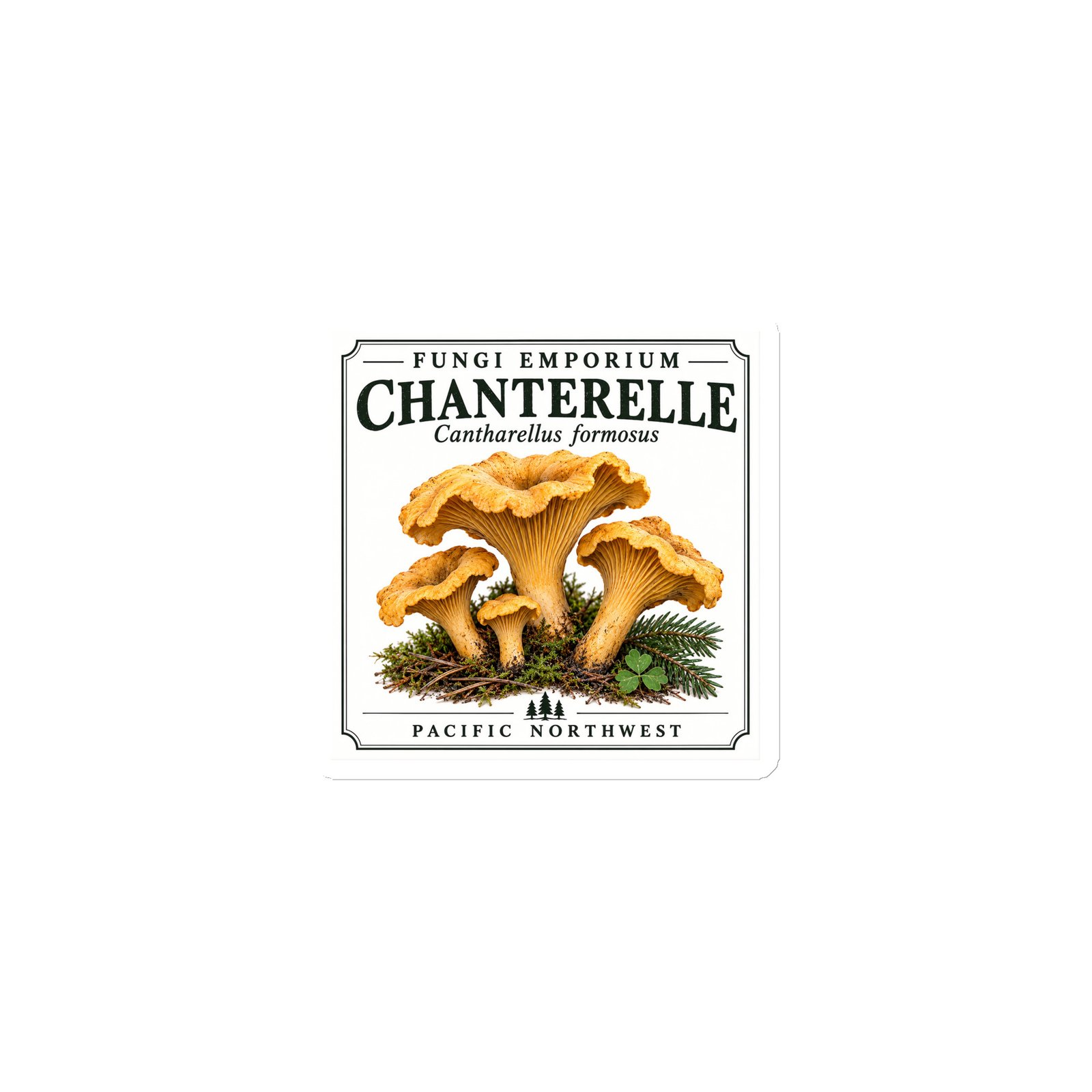 Chanterelle Magnet