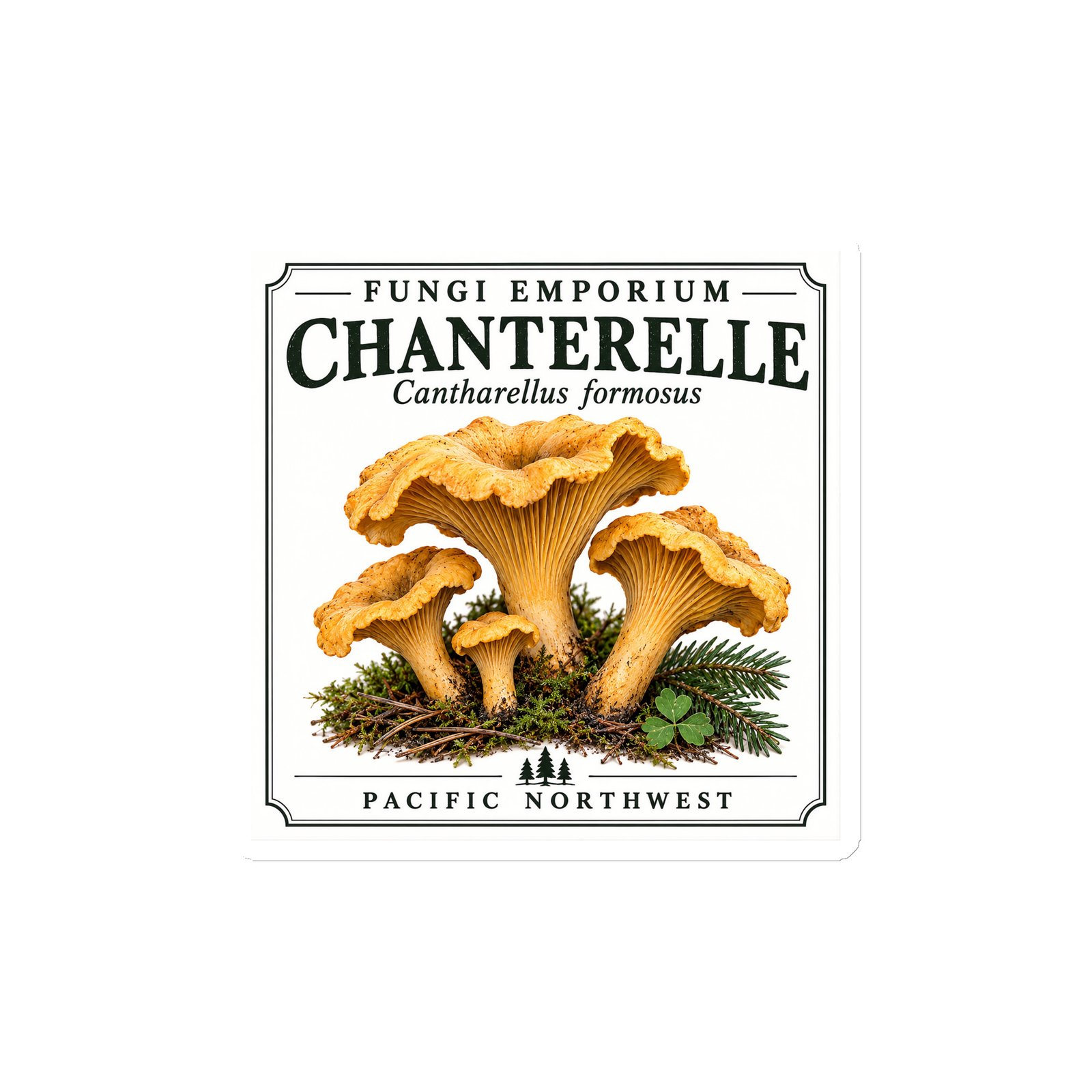 Chanterelle Magnet - Image 2