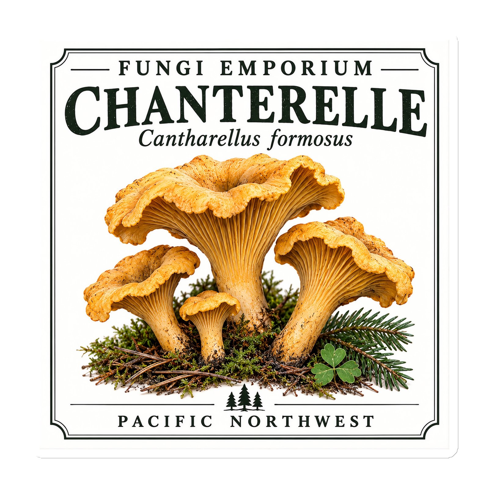 Chanterelle Magnet - Image 3
